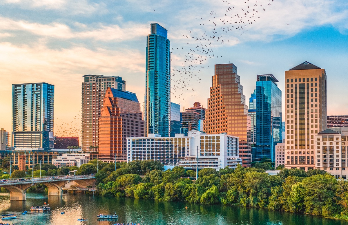 Austin skyline bats